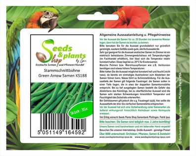 35x Stammschnittbohne Green Arrow - Grüne Bohnen Samen Gemüse KS188