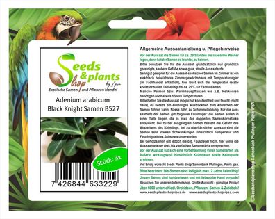3x Adenium arabicum Black Knight Zimmer Pflanze Saatgut Samen Saat Garten B527