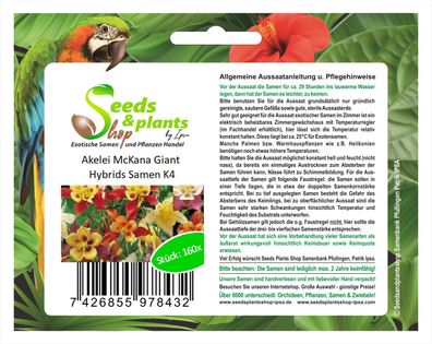 160x Akelei McKana Giant Hybrids-Samen Garten Pflanze Blumen K4