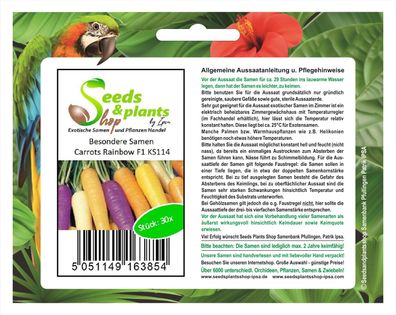30x Besondere Samen Carrots Rainbow F1- Möhre Samen Gemüse Garten KS114