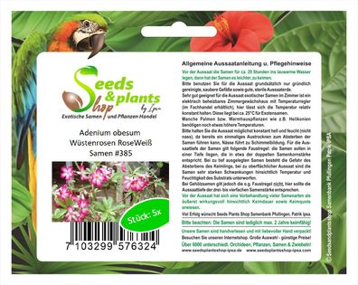 5x Adenium obesum Wüstenrosen Rose/ Weiß Zimmerpflanze Samen Pflanze #385