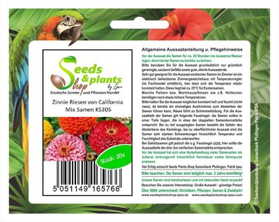 20x Zinnie Riesen von California Mix-Zinnien Samen Garten Blume KS305