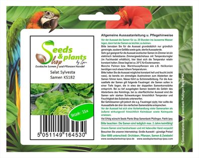 15x Salat Sylvesta - Salat Samen Gemüse Garten Pflanze Saatgut KS182