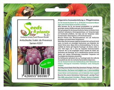 20x Artischocke Violet de Provence Artischocke Samen Gemüse K257