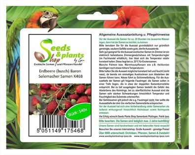 540x Erdbeere busch Baron Solemacher -Erdbeer Samen Gemüse Garten K468