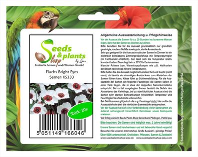 20x Flachs Bright Eyes-Linum usitatissimum Samen Lein Garten Pflanze KS333