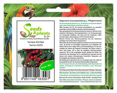 30x Tomate Minibel - Tomaten Samen Gemüse Pflanze Salat Garten KS29