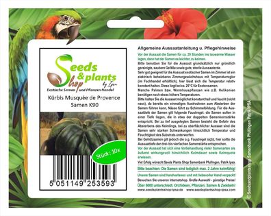 10x Kürbis Musqu&eacute; e de Provence Kürbis Samen Gemüse Garten Pflanze K90