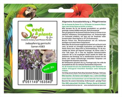 30x Judaspfennig gemischt - Lunaria Samen Blumen Pflanze Garten Saatgut KS83