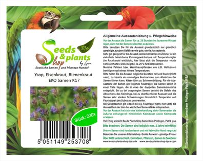 220x Ysop, Eisenkraut, Bienenkraut EKO - Ökologische Samen Pflanze K17