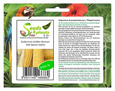 6x Zuckermais Golden Bantam EKO- Mais Samen Saatgut Pflanze Gemüse KS415