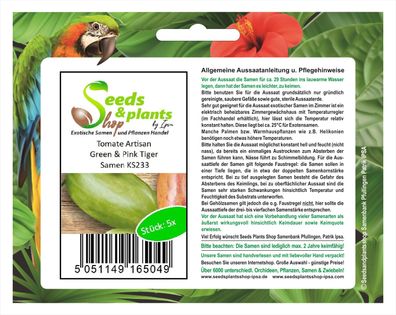 5x Tomate Artisan Green & Pink Tiger - Alte Sorten Samen Gemüse KS233