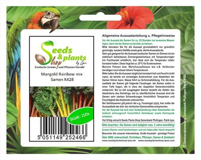 150x Mangold Rainbow mix - Samen Garten Gemüse Küche Saatgut Pflanze K428