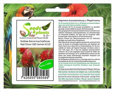 2800x Rotklee Bienentrachtpflanze Red Clover EKO Samen Saatgut K219