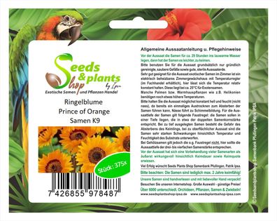 375x Ringelblume Prince of Orange-Prächtiges Bärenohr Samen Garten K9