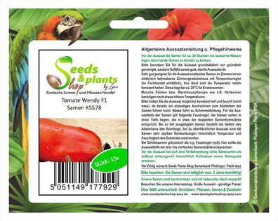 13x Tomate Wendy F1 - Alte Sorten Samen Gemüse KS578