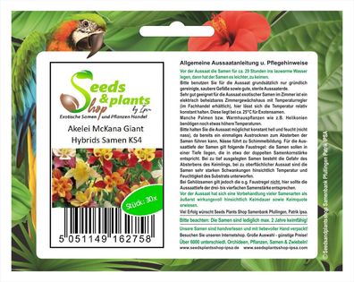 30x Akelei McKana Giant Hybrids - Samen Garten Pflanze Blumen KS4