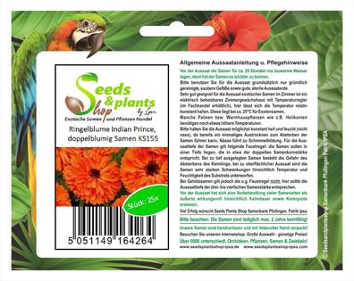 25x Ringelblume Indian Prince, doppelblumig Samen Pflanze Garten KS155