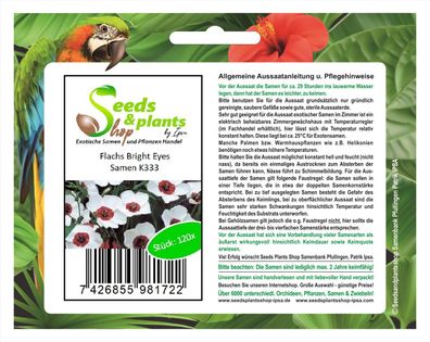 120x Flachs Bright Eyes-Linum usitatissimum Samen Lein Garten Pflanze K333