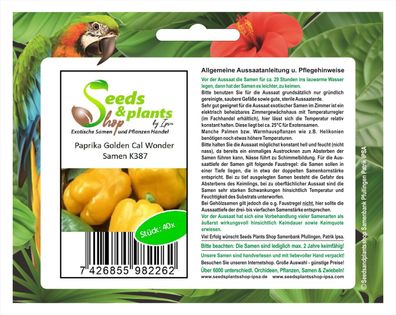 40x Paprika Golden Cal Wonder - Paprika Samen Gemüse Garten K387