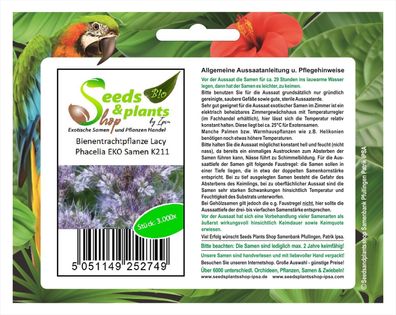3000x Bienentrachtpflanze Lacy Phacelia EKO Gründünger Sämereien K211