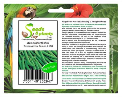 125x Stammschnittbohne Green Arrow Grüne Bohnen Samen Gemüse K188