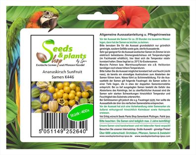400x Ananaskirsch SunFruit - Erdbeer Samen Beere Physalis pruinosa K446