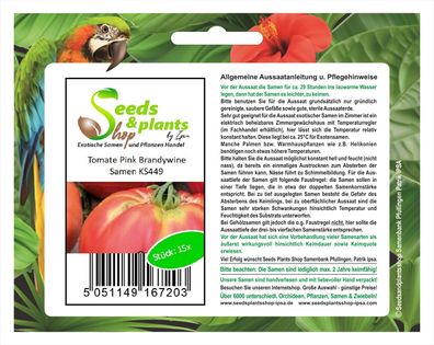 15x Tomate Pink Brandywine - Alte Sorten Samen Gemüse Garten KS449
