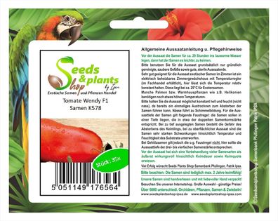 35x Tomate Wendy F1 - Alte Sorten Samen Gemüse K578
