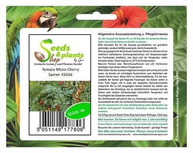 4x Tomate Micro Cherry - Tomaten Samen Gemüse KS566