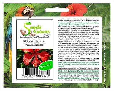 10x Hibiscus sabdariffa Samen Hibiskus Strauch Pflanze Garten Haus Neu B1618
