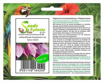4x Kletterpflanzen Rhodochiton Lila Samen Pflanze Garten Saatgut Neuheit KS153