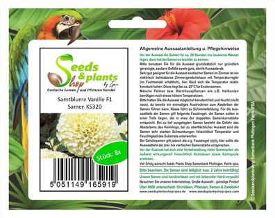8x Samtblume Vanille F1-Studentenblume Samen Pflanze Blume Saatgut KS320