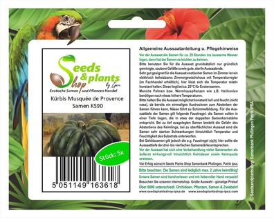 5x Kürbis Musqu&eacute; e de Provence - Kürbis Samen Gemüse Garten Pflanze KS90