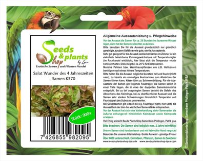 40x Salat Wunder des 4 Jahreszeiten - Salat Samen Gemüse Garten KS370