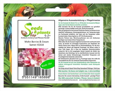 25x Mohn Berries & Cream-Eschscholzia Californica Samen Garten KS318