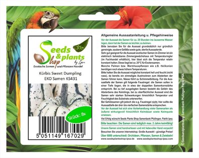 8x Kürbis Sweet Dumpling EKO - Kürbis Samen Gemüse Garten Pflanze KS431