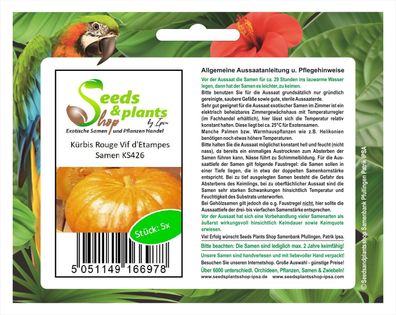 5x Kürbis Rouge Vif d'Etampes - Kürbis Samen Gemüse Garten Pflanze KS426