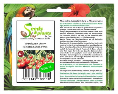 5x Brandywein Sherry- Samen Saatgut Küche Garten Tomaten samen PW85