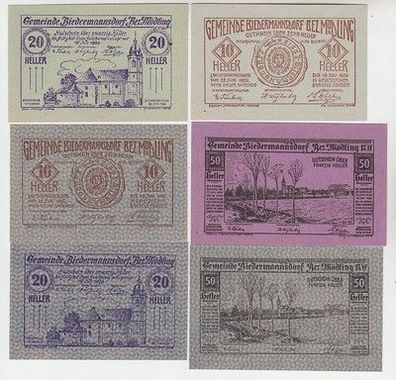 6 Banknoten Notgeld Gemeinde Biedermannshof Bez. Mödling Österreich 1920