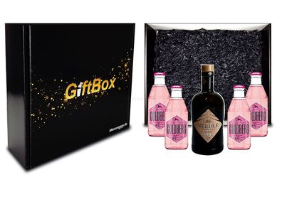 Mixcompany Geschenkset - Needle Blackforest Dry Gin 0,5L (40% Vol) + 4 x Goldbe