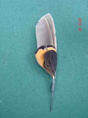kleine Hutfeder Hutschmuck grau mit braun Feder ca 6cm für Herrenhut Art 24-43