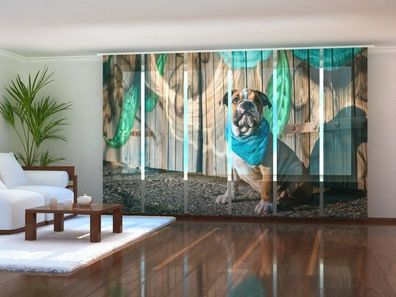 Schiebegardine "Englischer Bulldogenwelpe" Flächenvorhang Gardine mit 3D Druckmotiv