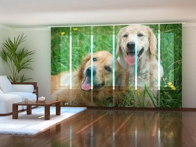 Schiebegardine "Labradorhunde auf der Wiese" Flächenvorhang Gardine mit 3D Druckmotiv