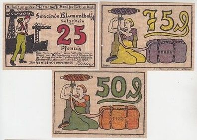 kompl. Serie 3 Banknoten Notgeld Gemeinde Blumenthal in H. 1921
