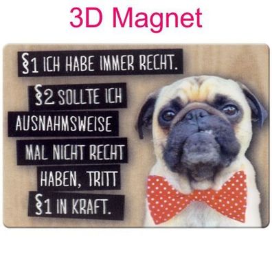 Sheepworld Gruss & Co 3D Magnet "Recht" mit Kuvert Neuware