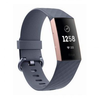Activity-Armband Fitbit Charge 3 OLED Bluetooth 4.0 GPS