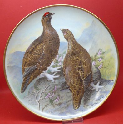 Vintage Wandteller Gamebirds of the world Red Grouse Signierte by Basil Ede