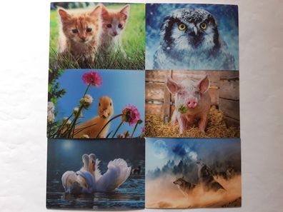 3 D Ansichtskarte Tiere Katze Wolf Schwein Eule Postkarte Wackelkarte Hologrammkarte