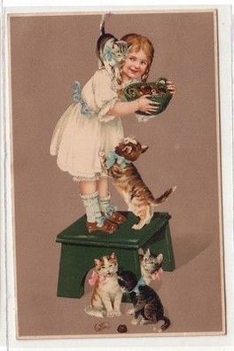 60113 Humor Ak Kind beschützt Korb vor 5 kleinen Katzen um 1915